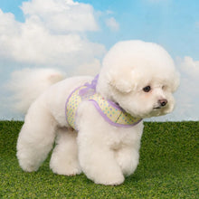 Load image into Gallery viewer, PINKAHOLIC MABEL HARNESS J
