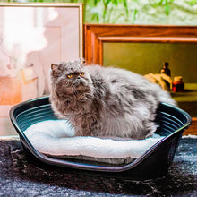 Load image into Gallery viewer, FERPLAST Relax 55/4Cushion with fur for Dogs and Cats to fit Siesta 4 Beds
