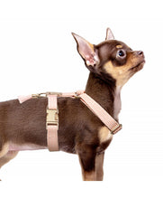 Load image into Gallery viewer, Milk &amp; Pepper Kaya Harness
