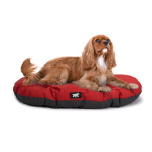 Load image into Gallery viewer, FERPLAST Relax 78/8 Cushion for Dogs and Cats to fit Siesta 8 Beds - Lilac
