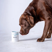 Load image into Gallery viewer, Tipaw Dental Care Powder
