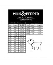 Load image into Gallery viewer, MILK AND PEPPER Safira Collar and lead
