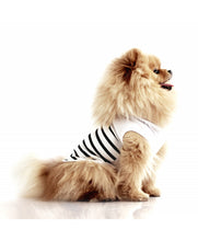 Load image into Gallery viewer, MILK &amp; PEPPER Solena T-shirt
