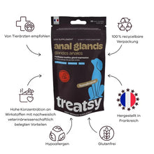 Load image into Gallery viewer, Treatsy Supplementary Feed – Anal Glands for Dogs 90 g
