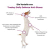 Treatsy Supplementary Feed – Anti-Stress for Dogs 90 g