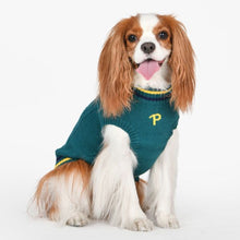 Load image into Gallery viewer, PUPPIA JOISE Mock Neck Knit Sweater
