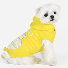 Load image into Gallery viewer, PUPPIA PHIDEAUX HOODIE T-SHIRT
