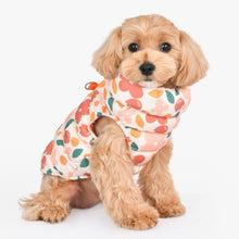 Load image into Gallery viewer, PUPPIA HIBISCUS Flower Pattern Full Zip Up Vest with integrated harness
