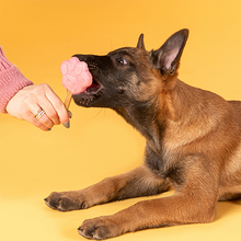 Load image into Gallery viewer, Ice Cream Starter Kit for Puppies
