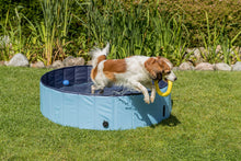 Load image into Gallery viewer, Trixie Dog Pool (Different sizes)
