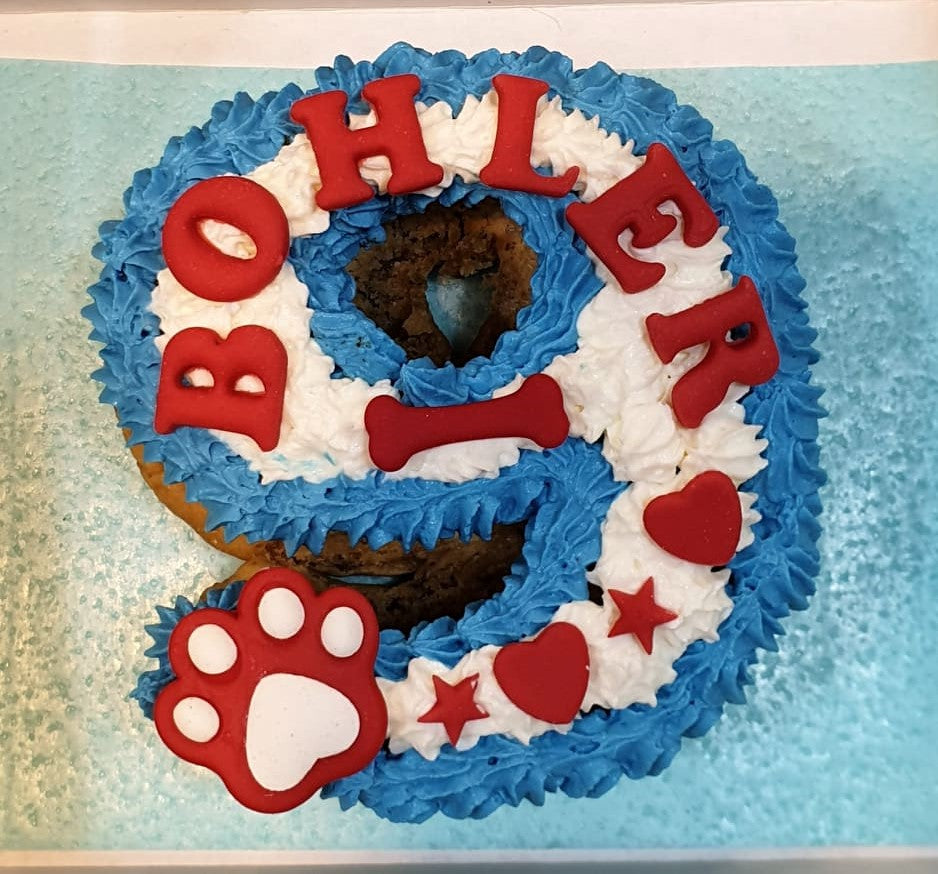 Wendy's Frosted Number 9 shape Cake for Dogs & Cats - Personalised