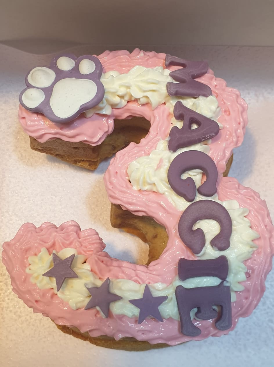 Wendy's Frosted Number 3 shape Cake for Dogs & Cats - Personalised