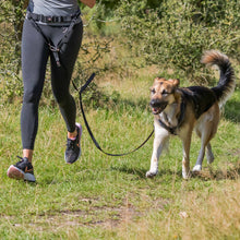 Load image into Gallery viewer, Trixie Waist Belt with Leash for Medium-Sized and Large Dogs
