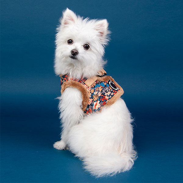 PUPPIA FLOWER PATTERN  HARNESS