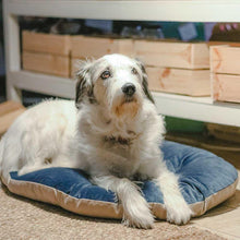 Load image into Gallery viewer, FERPLAST Prince 65/6 Cushion for Dogs and Cats to fit Siesta 6 Beds
