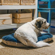 Load image into Gallery viewer, FERPLAST Prince 65/6 Cushion for Dogs and Cats to fit Siesta 6 Beds
