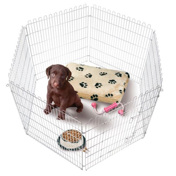 Puppy Run Small