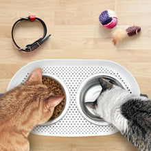 Load image into Gallery viewer, All for Paws 3 In 1 Elevated Double Dinner - S
