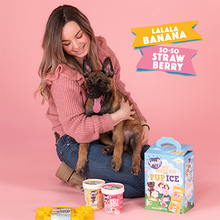 Load image into Gallery viewer, Ice Cream Starter Kit for Puppies
