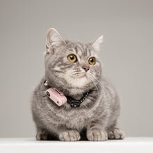 Load image into Gallery viewer, TICKLESS Mini Cat - The new generation of chemical-free ultrasonic tick and flea repellent
