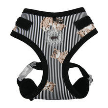 Load image into Gallery viewer, CATSPIA  MOGGY Superior Harness for  Cats
