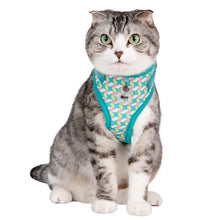 Load image into Gallery viewer, CATSPIA  ARELI Superior Harness for  Cats
