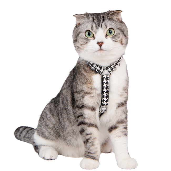 CATSPIA  MOUSER Superior Harness  H for  Cats