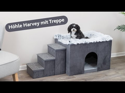 Trixie Cave Harvey with steps