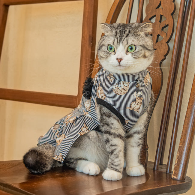 CATSPIA  MOGGY Design Dress For Cats