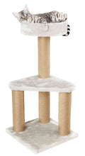 Load image into Gallery viewer, Trixie Ivan Scratching Post
