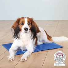 Load image into Gallery viewer, Trixie Dog Cooling Mat (Different sizes)

